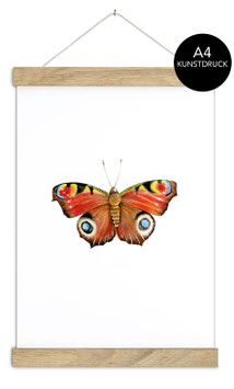 SCHMETTERLING PFAUENAUGE POSTER  A4 ungerahmt