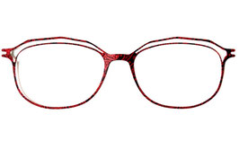 NOUVEAUTE : CLIP CIE 1137 INDR