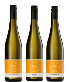 trockene Gutsweine Weingut Spies - 3 Flaschen