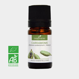 Organic essential oil of Cardamom