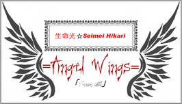 Angel Wings 「Version 2011」
