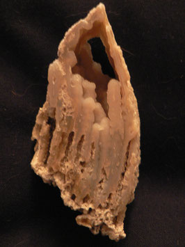 Chalcedon - Koralle   Nr. UFlo1531