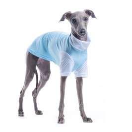 DG SUNVEIL TM UP50+ / Tee Airy Blue