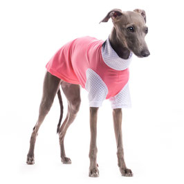 DG SUNVEIL TM UP50+ / Tee Pink Limonade