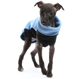 DG Fleece Top Puppy / Sky Blue