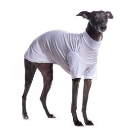 DG SUNVEIL TM UP50+ / Tee Gray Dawn