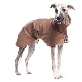 DG Jacke Basic / Chipmunk