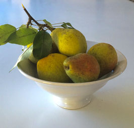 Bowl for Pears and Fruit