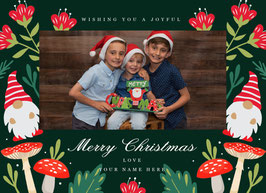 Christmas Card; Gnomes
