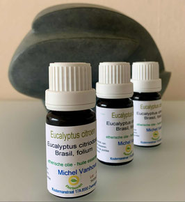 Eucalyptus Citroen - 11ml