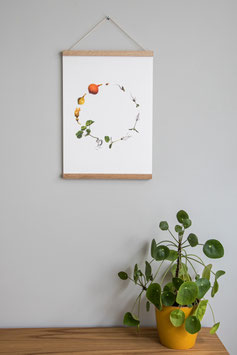 Poster 'Pompoen' A3