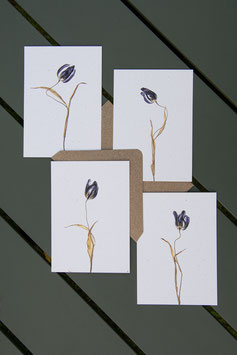 Mini kaarten 'Tulips in decay'