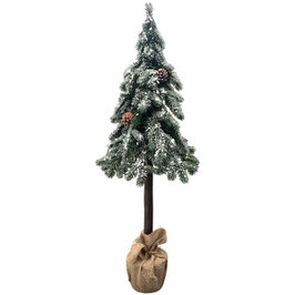 TannenBaum ArtificialNature