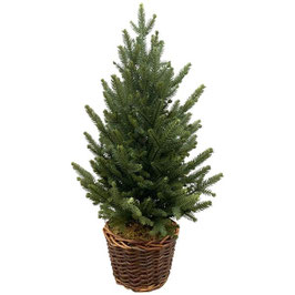 TannenBaum im Korb ArtificialNature