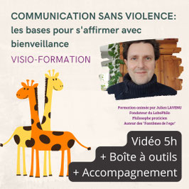 Pack visio-formation: "COMMUNICATION SANS VIOLENCE: les bases pour s'affirmer avec bienveillance"