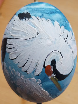 25/26 V1 VOGELMOTIVE "STURM"
