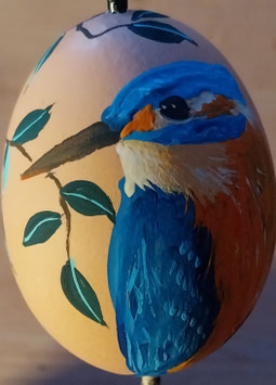 25/26 V5 VOGELMOTIV "EISVOGEL"