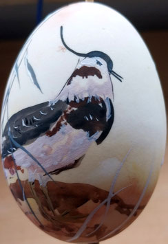 25/26 V4 VOGELMOTIVE "BACHSTELZE"