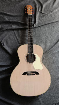 VM-5 Strum