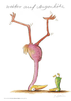 weiter auf Augenhöhe