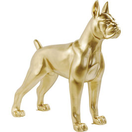 DOG | Kare Sconto 60%