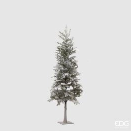 EDG Pino Superneve h. 97