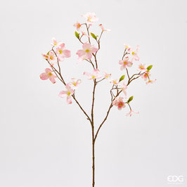 EDG Ramo Cornus Supremo