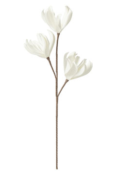 Ramo 3 Fiori Bianchi | Jolipa