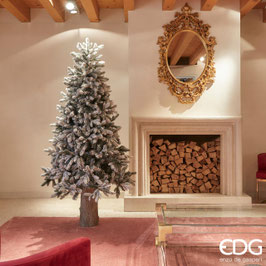EDG Pino merano innevato | Sconto 30%