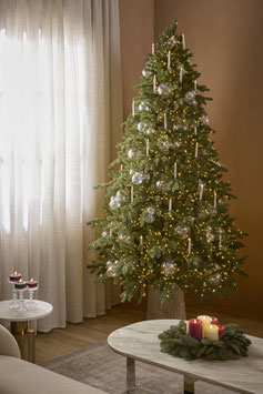 EDG Pino Imperial New con Miniled