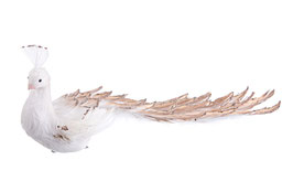 Pavo Real Champagne