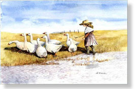 Herding Geese