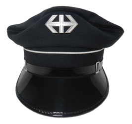 SBB CFF FFS Transport- Bauzugführer Baudienste