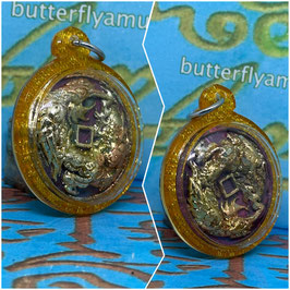 C249 .  Butterfly in Gold Leaf