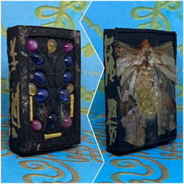 KK197/01  .  Special Limited Somdej