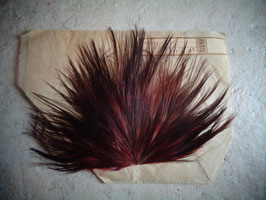 Appliqué écureuil