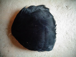 Pétale plumes noires