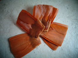 Lot d'appliqué oranges