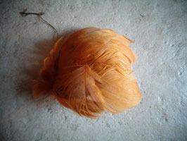 Pétale orange