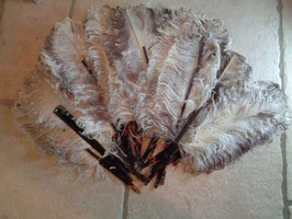 Eventail plumes 20's