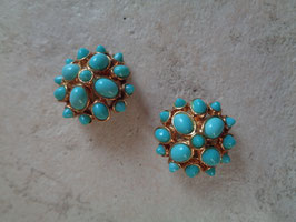 Clips turquoises