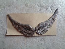 Plumes argentées
