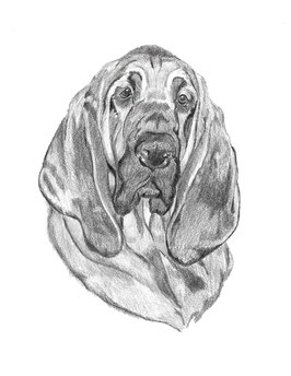 Quick Sketch Custom Portrait