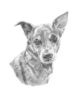 Black and White Portrait