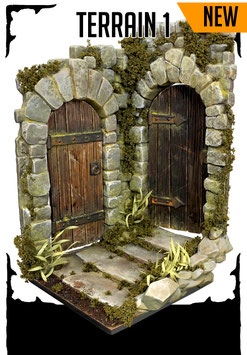 Terrain 1