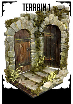 Terrain 1