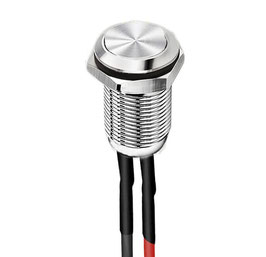 Taster aus Edelstahl / 12V