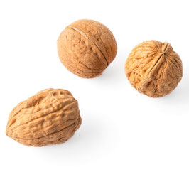 Sortenmix Biodiversitätsbäume, 28-38 mm, 1 KG