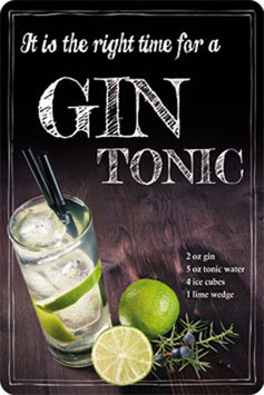 "It is the right time for a Gin Tonic" Blechschild