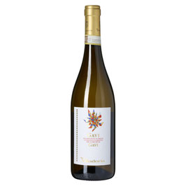 Villadoria Gavi di Gavi DOCG